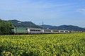 BB 25236(5)